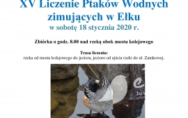 XV Liczenie Ptaków Wodnych Zimujących w Ełku