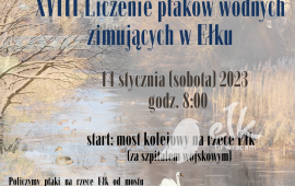 XVIII Conteggio degli uccelli acquatici che svernano Ełk