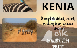 Travel report - Kenya