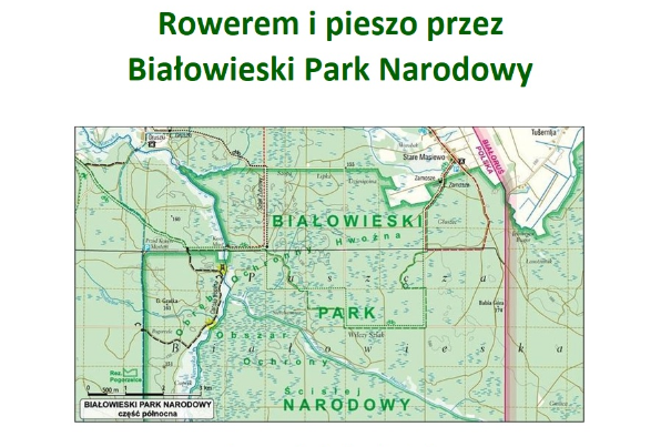 Fahrrad und zu Fuß durch den Nationalpark von Białowieża