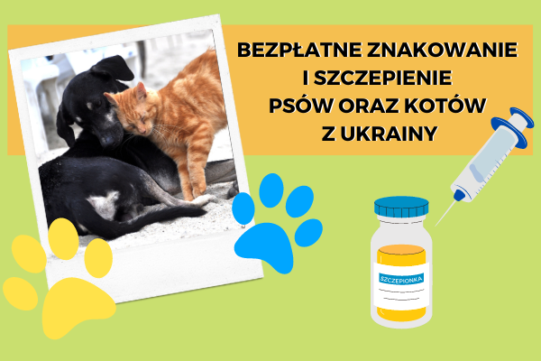 Bezpłatne znakowanie i szczepienie psów oraz kotów z Ukrainy