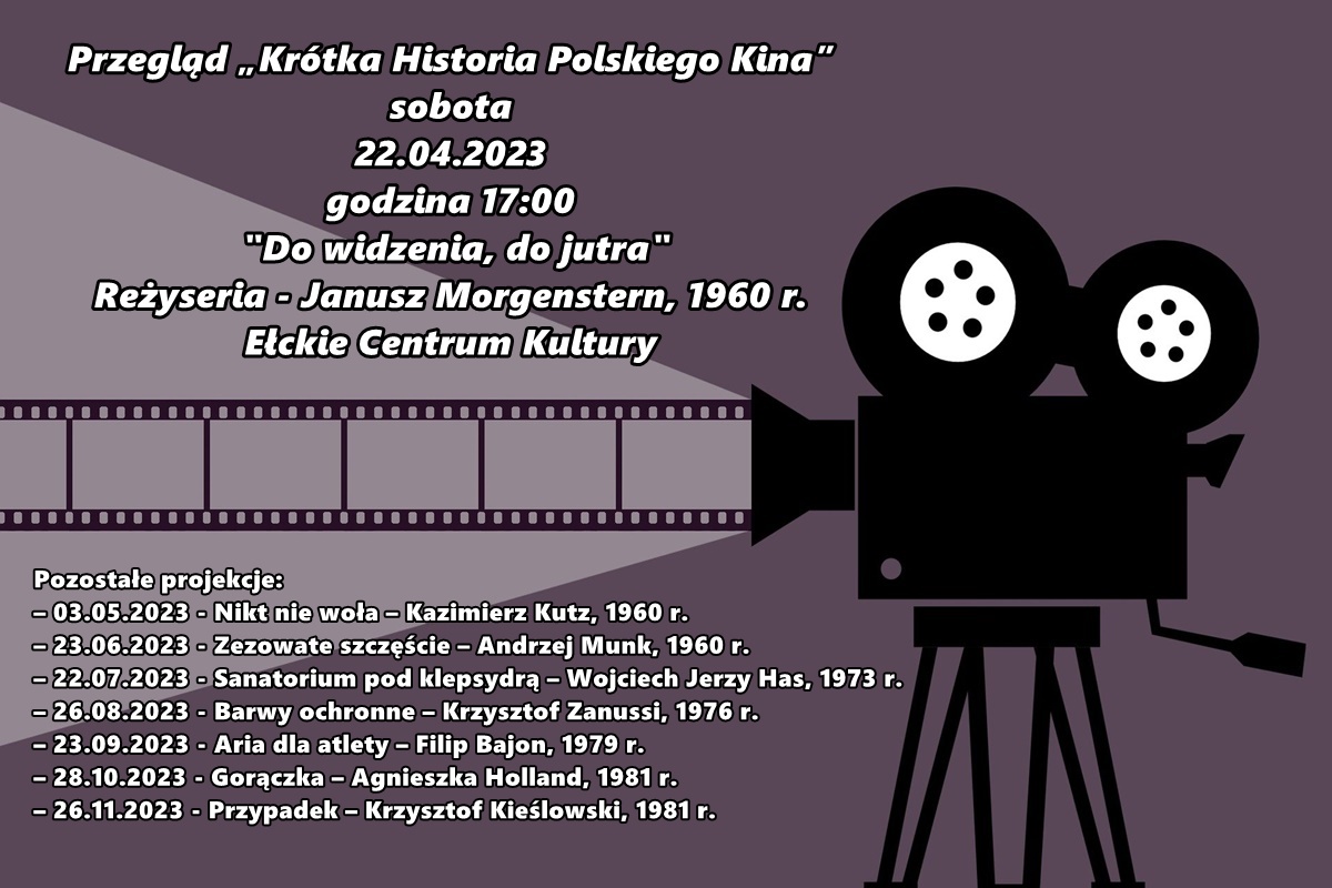 Рецензия «Краткая история польского кино»
