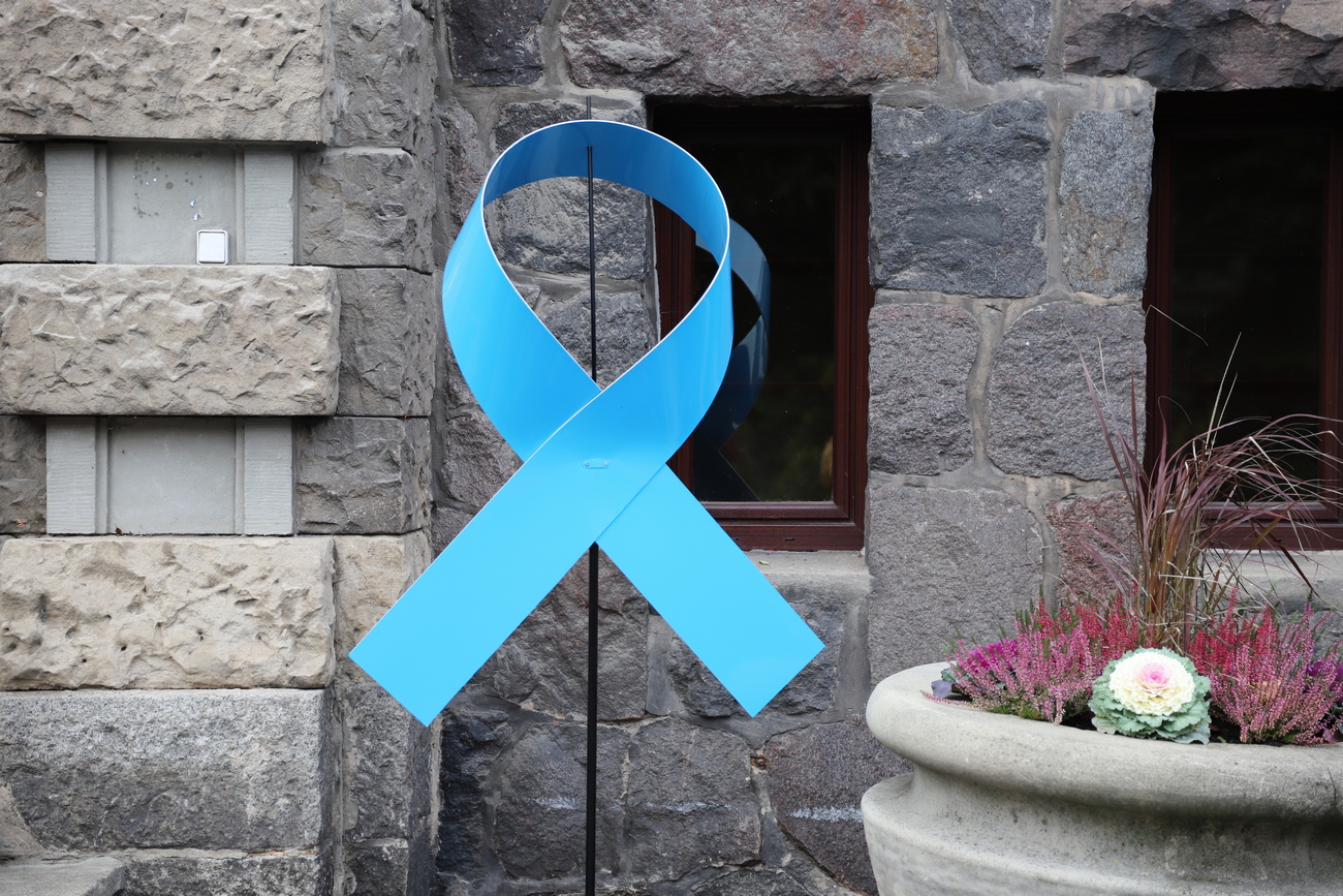 Mėlynas kaspinas - kovos su prostatos vėžiu ir sėklidžių vėžiu simbolis