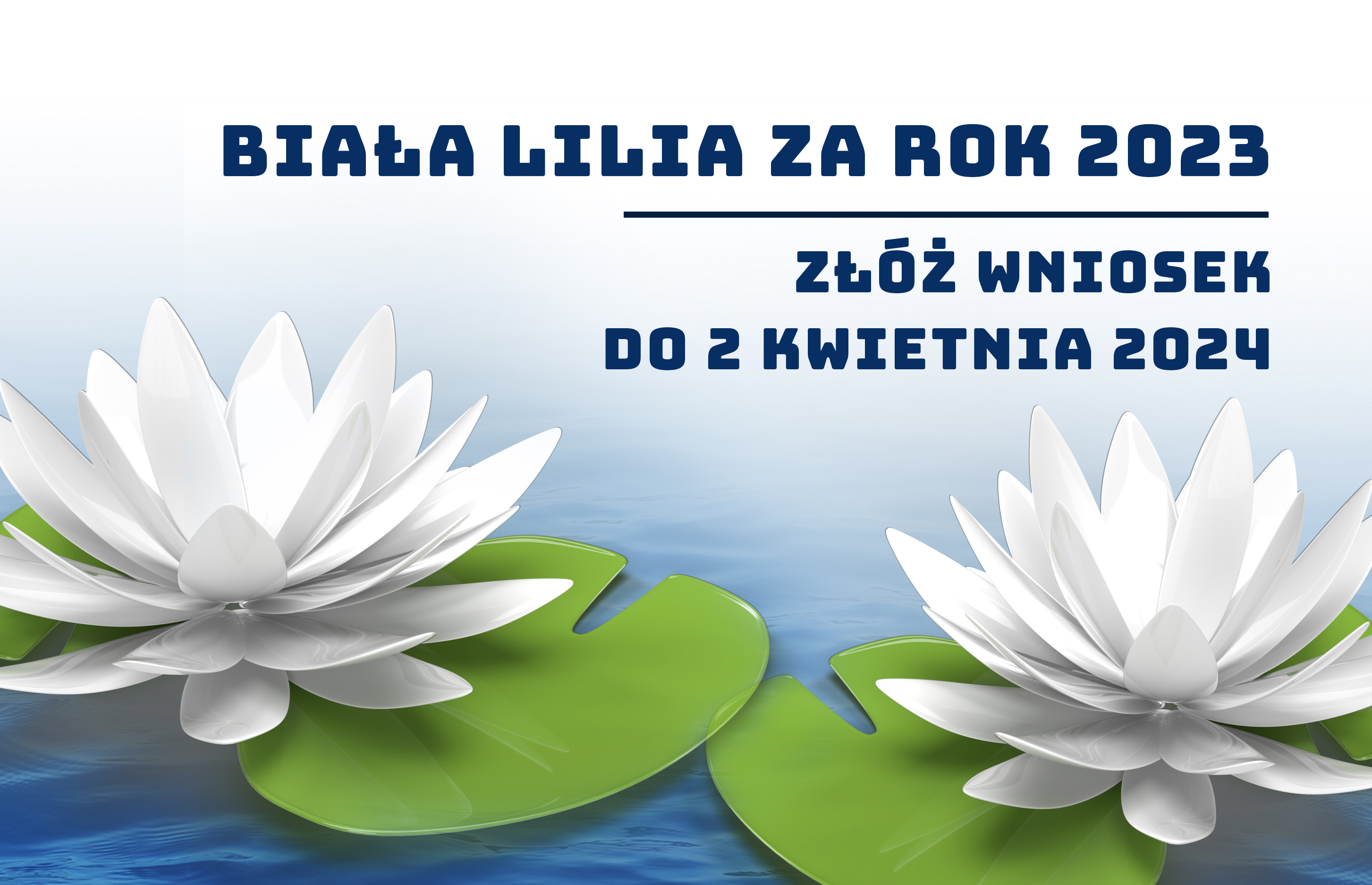 Call for applications for the "White Lily" award for 2023