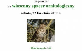 Wiosenny spacer ornitologiczny