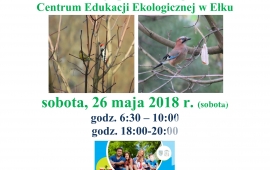 Obserwacje ptaków w ogrodzie Centrum Edukacji Ekologicznej w Ełku