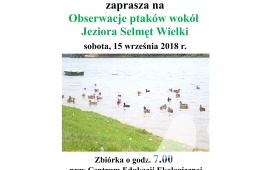 Avvistamenti di uccelli intorno al lago Selmęt il grande
