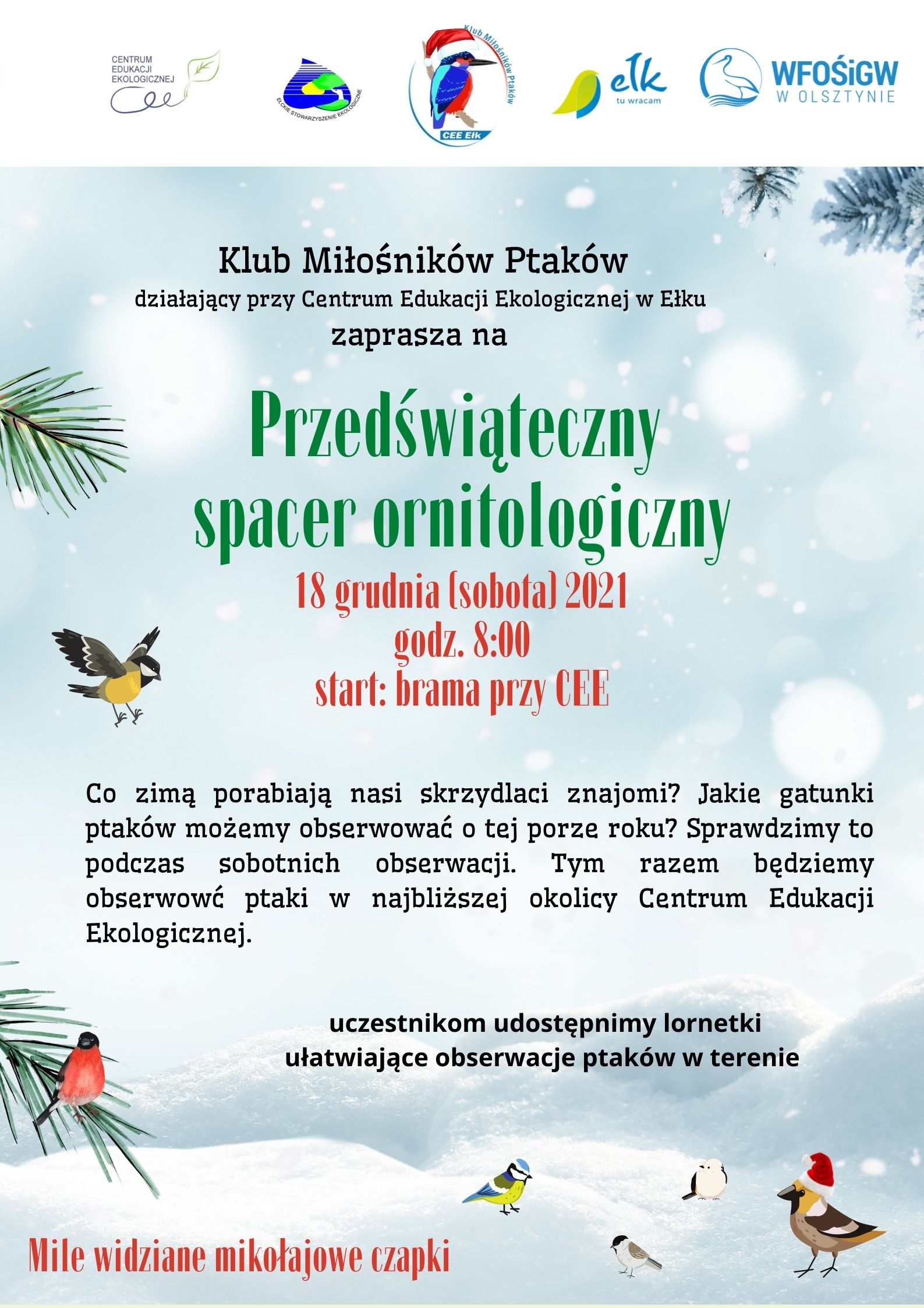 Spacer ornitologiczny 18.12.2021 (1).jpg
