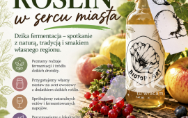 Kräuterworkshop "Entdecken Sie die Kraft der Pflanzen im Herzen der Stadt" – Wildfermentation