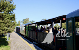 Zdjęcie: 6
