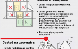 Zdjęcie: 0