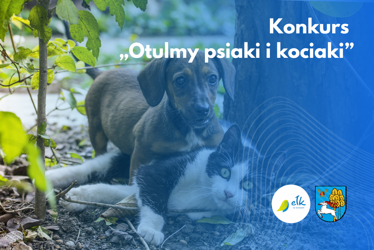 Konkurs "Otulmy psiaki i kociaki"
