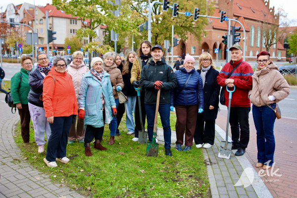 Rozkwitną wiosną, na znak nadziei