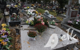 Zdjęcie: 19