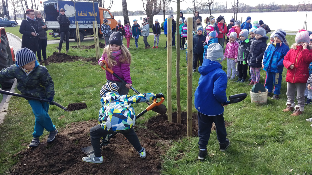 Dzieci posadziły drzewa w Ełku
