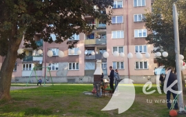 Zdjęcie: 14