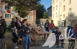 Zdjęcie: 9