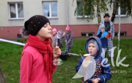 Zdjęcie: 17