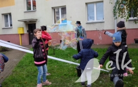 Zdjęcie: 14