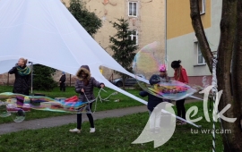 Zdjęcie: 12