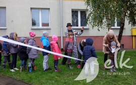 Zdjęcie: 5