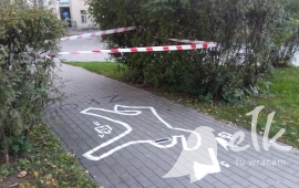 Zdjęcie: 4