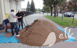 Zdjęcie: 8