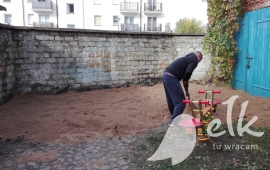 Zdjęcie: 10