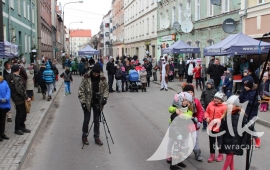 Zdjęcie: 4