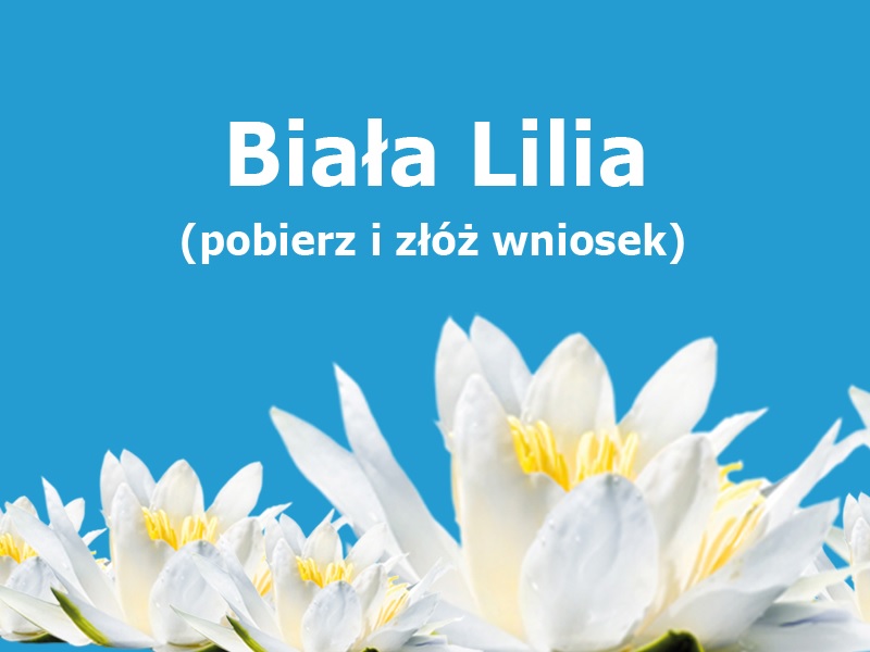 Złóż wniosek o Nagrodę Białej Lilii za osiągnięcia w roku 2017