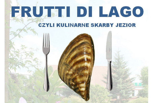 Culinary Festival "Frutti di Lago"