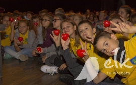 Zdjęcie: 6