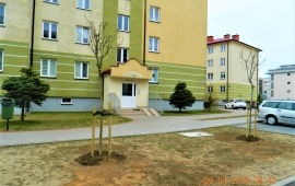 Zdjęcie: 2