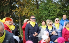 Zdjęcie: 2