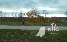 Zdjęcie: 5
