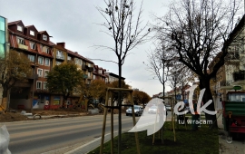 Zdjęcie: 1