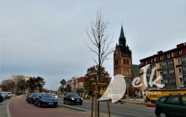 Zdjęcie: 2