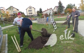 Zdjęcie: 0