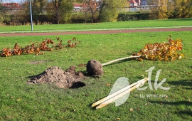 Zdjęcie: 7