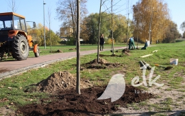 Zdjęcie: 8