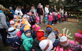 Zdjęcie: 1
