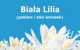 Zdjęcie: 0