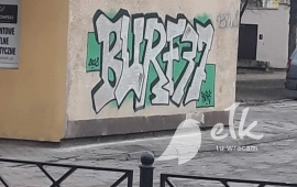 Zdjęcie: 2