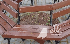 Zdjęcie: 5