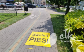 Zdjęcie: 3