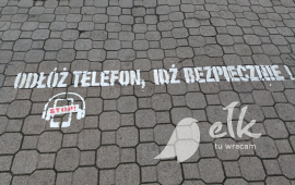 Zdjęcie: 1