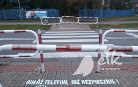 Zdjęcie: 6