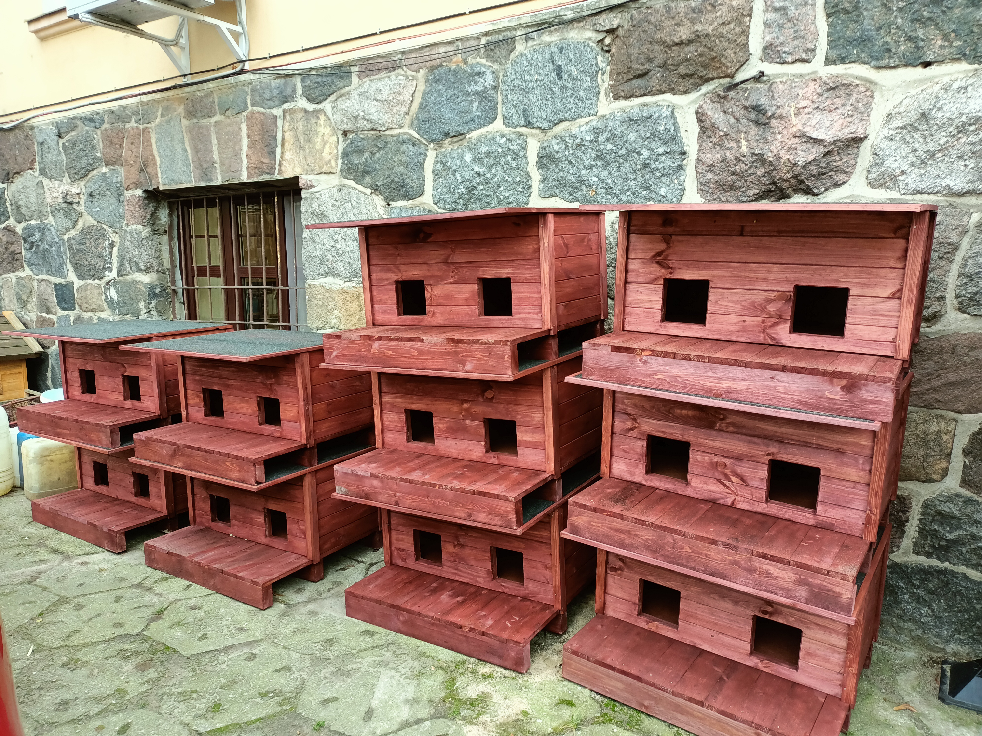Котячі будки доступні в ратуші