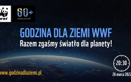 Zdjęcie: 0