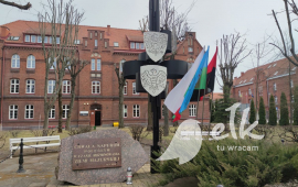 Zdjęcie: 15